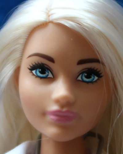 Barbie Carl playline