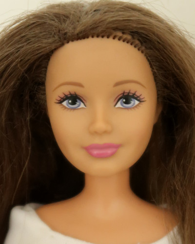 Barbie Skipper Dreamhouse